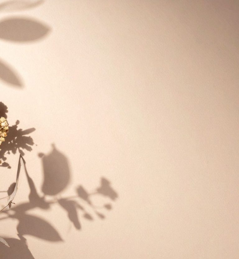 La nigelle : une petite graine aux grands bienfaits